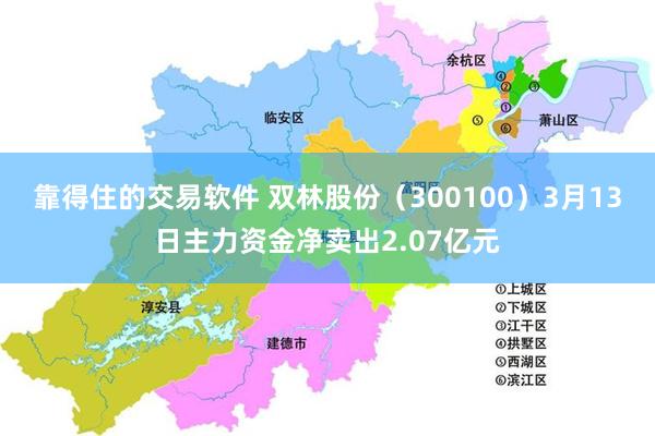 靠得住的交易软件 双林股份（300100）3月13日主力资金净卖出2.07亿元