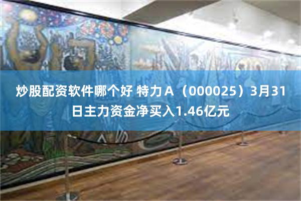 炒股配资软件哪个好 特力Ａ（000025）3月31日主力资金净买入1.46亿元