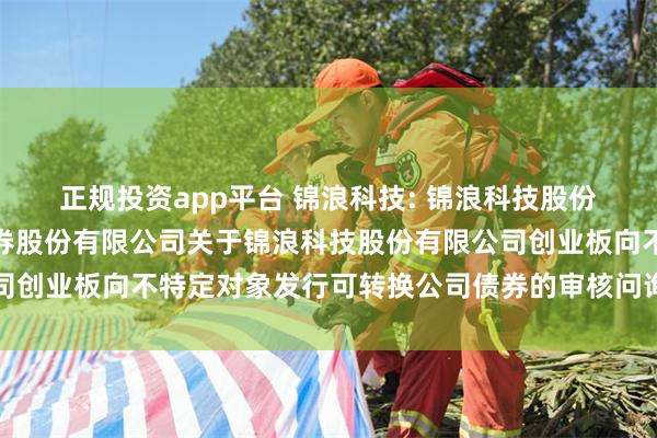 正规投资app平台 锦浪科技: 锦浪科技股份有限公司与国泰海通证券股份有限公司关于锦浪科技股份有限公司创业板向不特定对象发行可转换公司债券的审核问询函之回复报告