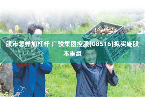 股市怎样加杠杆 广骏集团控股(08516)拟实施股本重组