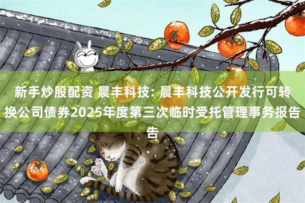 新手炒股配资 晨丰科技: 晨丰科技公开发行可转换公司债券2025年度第三次临时受托管理事务报告