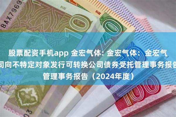股票配资手机app 金宏气体: 金宏气体:金宏气体股份有限公司向不特定对象发行可转换公司债券受托管理事务报告(2024年度)