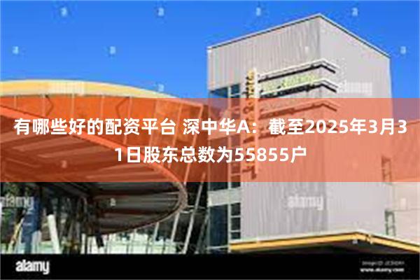 有哪些好的配资平台 深中华A：截至2025年3月31日股东总数为55855户