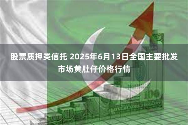 股票质押类信托 2025年6月13日全国主要批发市场黄肚仔价格行情