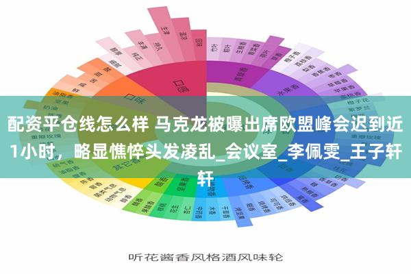 配资平仓线怎么样 马克龙被曝出席欧盟峰会迟到近1小时，略显憔悴头发凌乱_会议室_李佩雯_王子轩