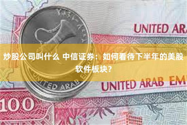 炒股公司叫什么 中信证券：如何看待下半年的美股软件板块？