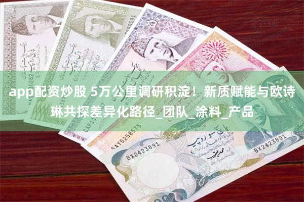app配资炒股 5万公里调研积淀！新质赋能与欧诗琳共探差异化路径_团队_涂料_产品
