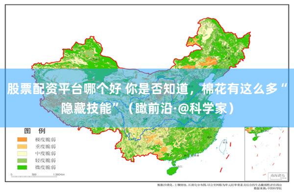 股票配资平台哪个好 你是否知道，棉花有这么多“隐藏技能”（瞰前沿·@科学家）